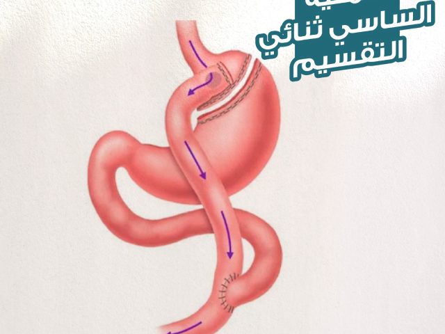عملية الساسي ثنائي التقسيم